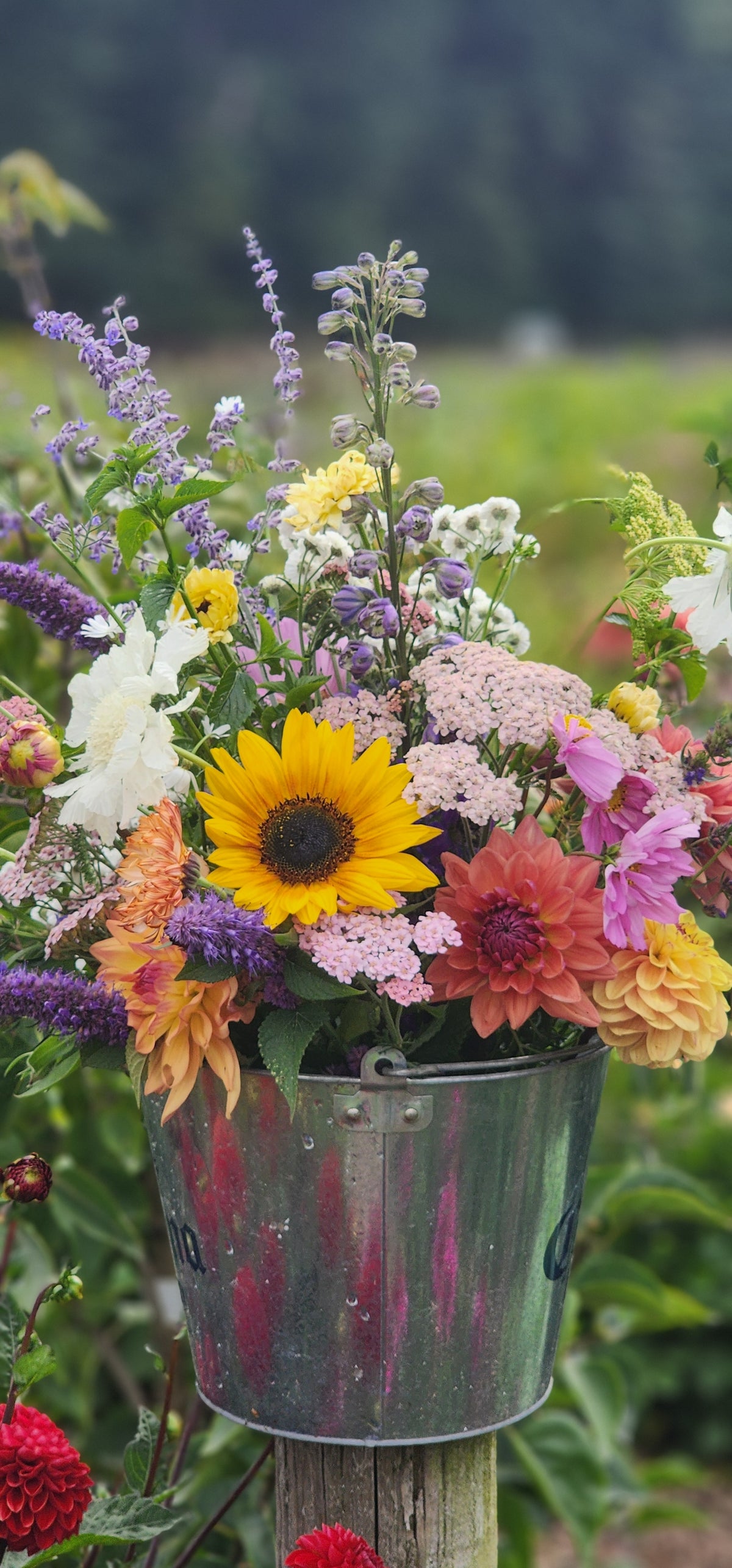 Medium Custom Bouquet